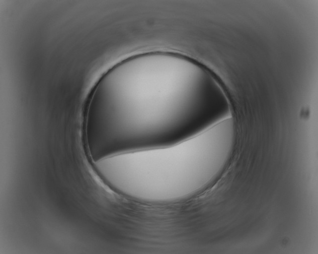 X0000093561508200710150946