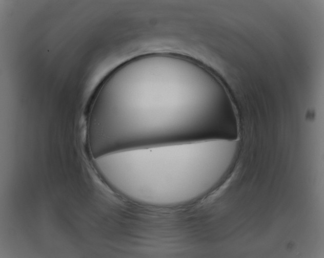 X0000093561509200710150946