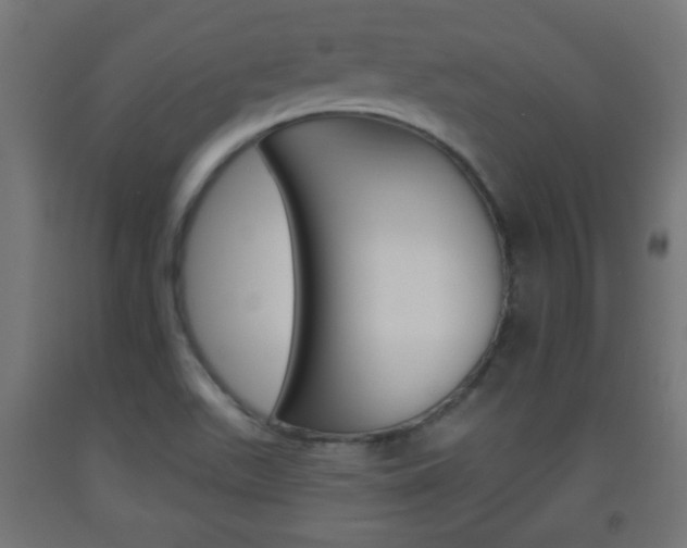 X0000093561511200710150946