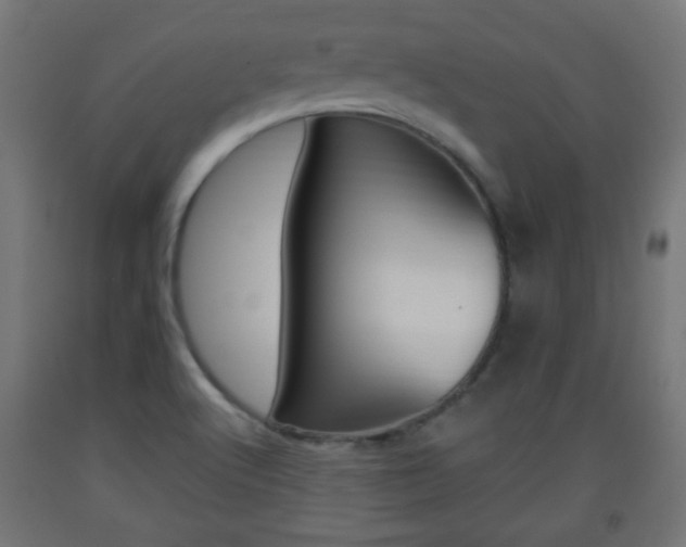 X0000093561512200710150946