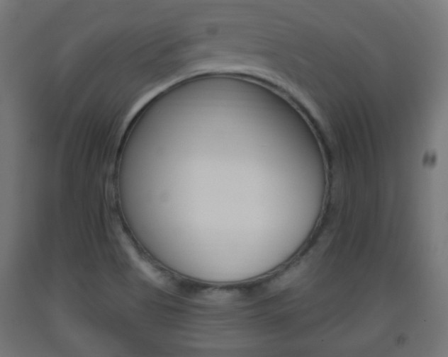 X0000093561513200710150946