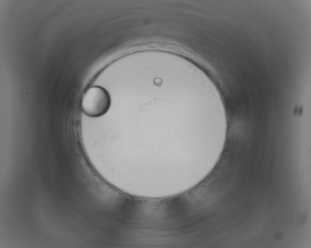 X0000093561514200710150946