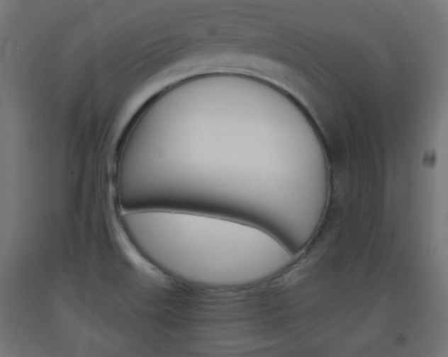 X0000093561515200710150946