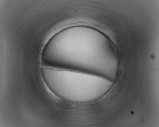 X0000093561516200710150946