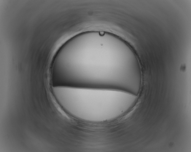 X0000093561517200710150946