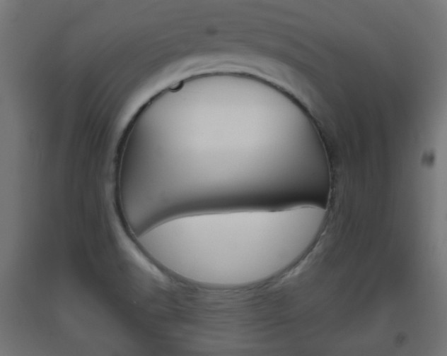 X0000093561518200710150946