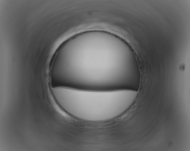 X0000093561519200710150946