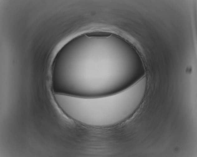 X0000093561520200710150946