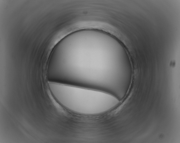 X0000093561521200710150946
