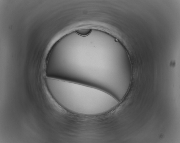 X0000093561522200710150946