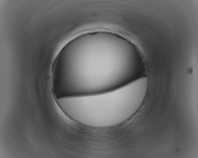 X0000093561524200710150946