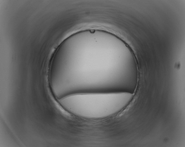 X0000093561525200710150946