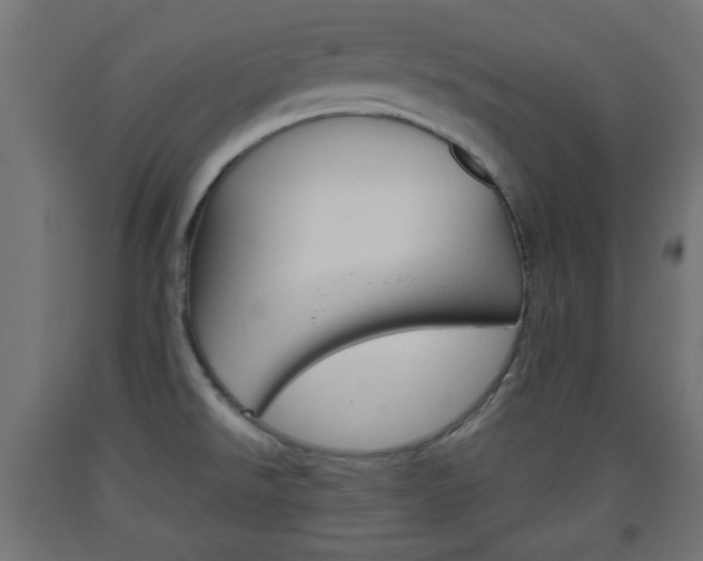 X0000093561526200710150946