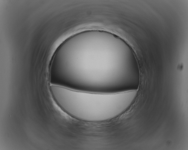 X0000093561527200710150946