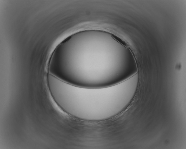 X0000093561528200710150946