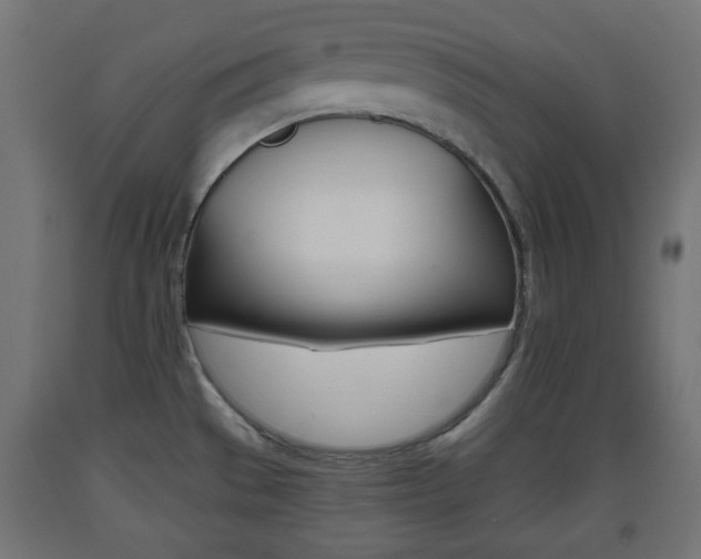 X0000093561529200710150946