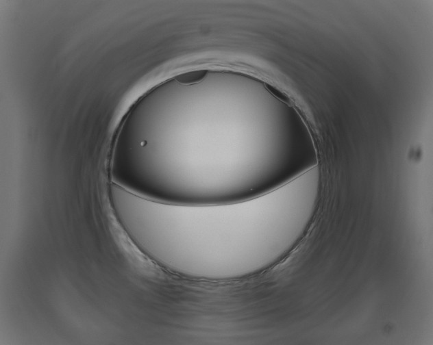 X0000093561530200710150946
