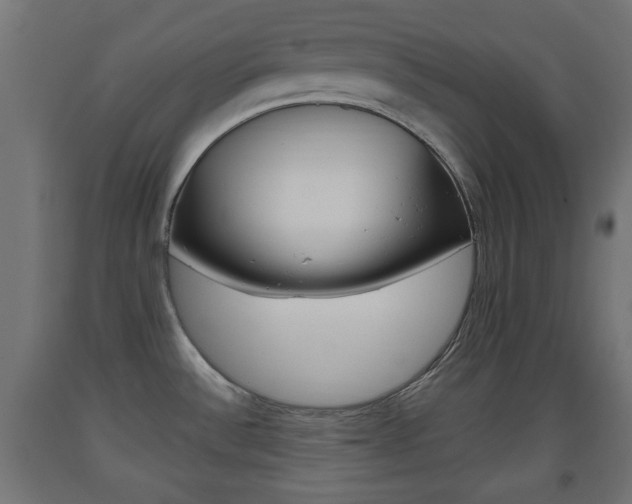 X0000093561532200710150946