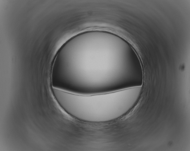 X0000093561533200710150946