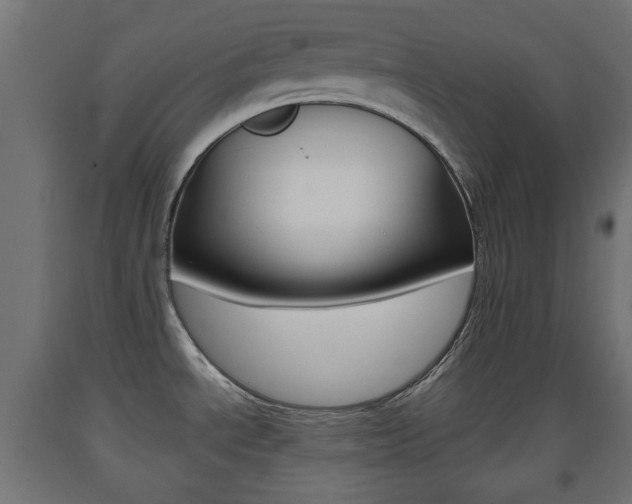 X0000093561534200710150946