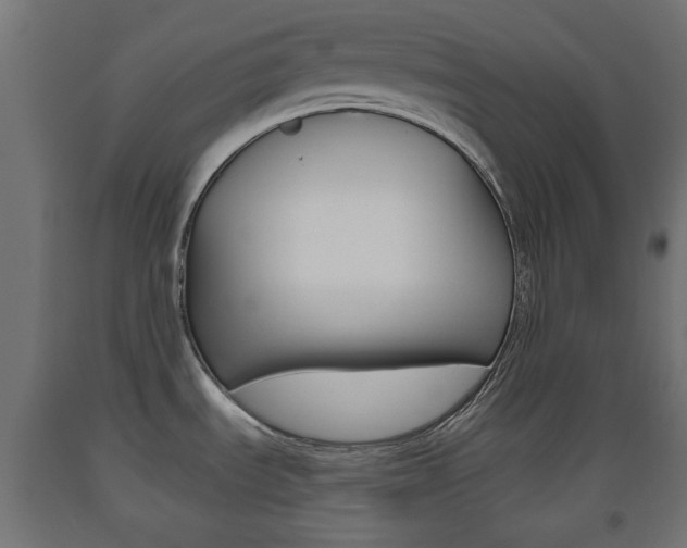 X0000093561535200710150946