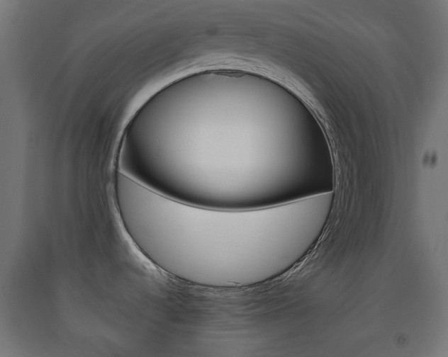 X0000093561536200710150946