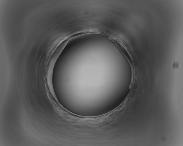X0000093560001200710151116