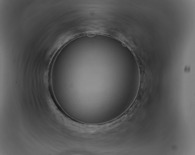 X0000093560002200710151116