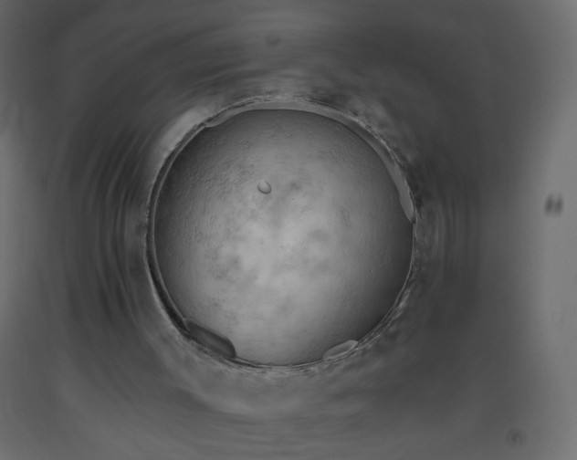 X0000093560003200710151116