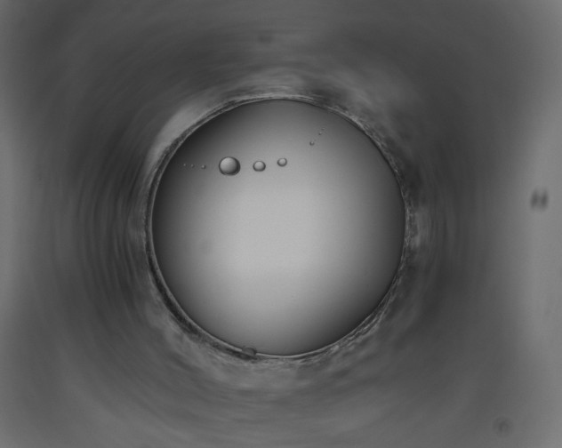 X0000093560004200710151116