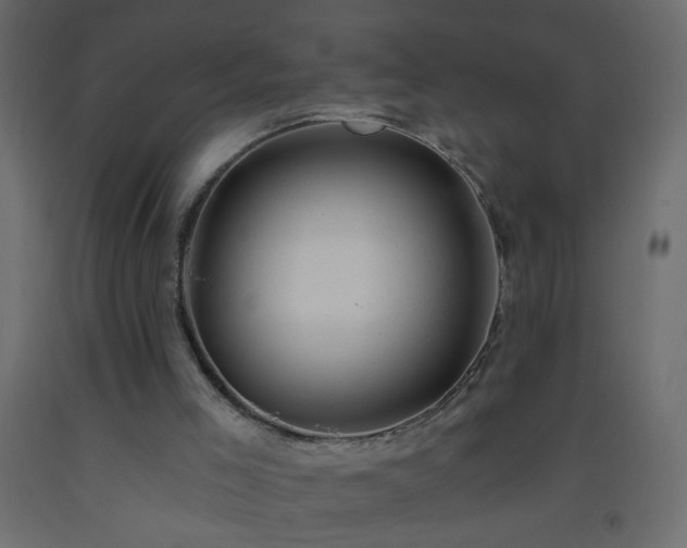 X0000093560005200710151116