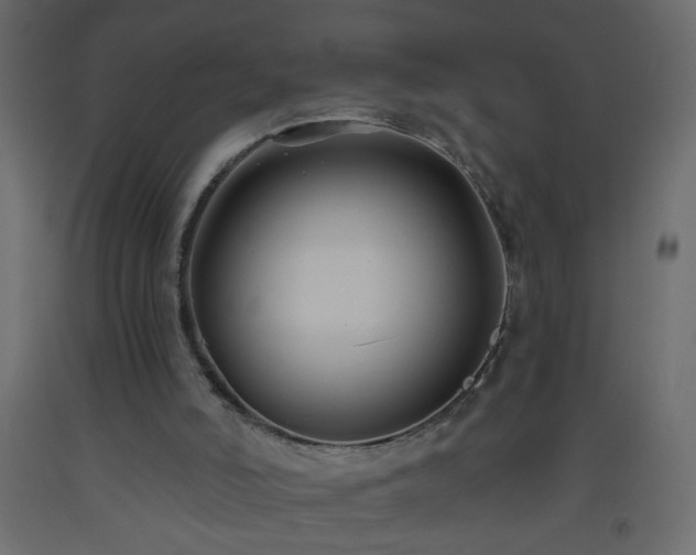 X0000093560006200710151116