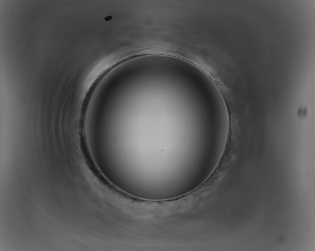 X0000093560007200710151116