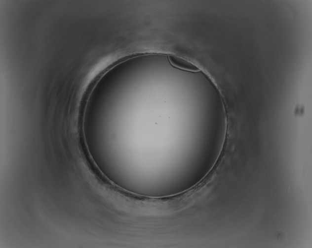 X0000093560008200710151116