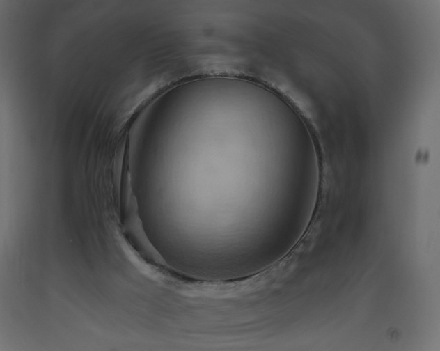 X0000093560009200710151116