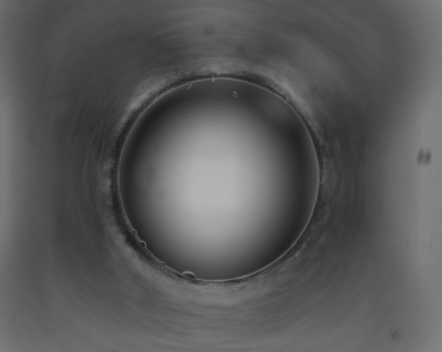 X0000093560010200710151116