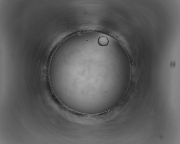 X0000093560012200710151116