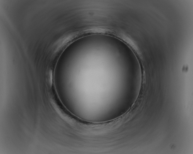X0000093560013200710151116