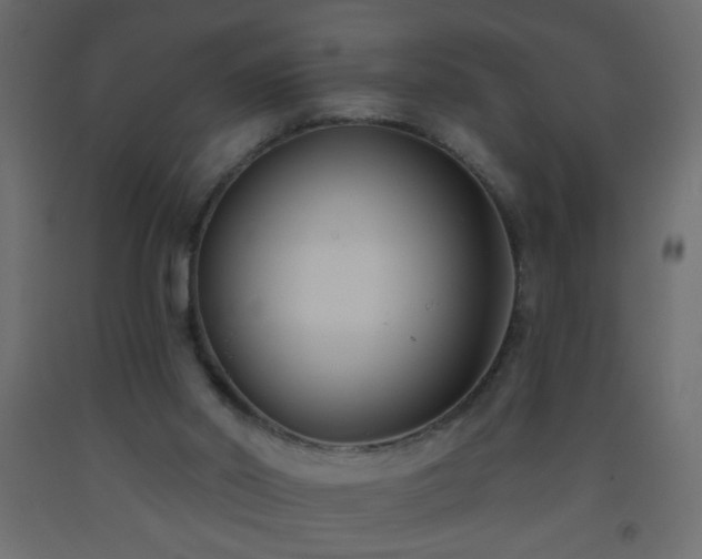 X0000093560014200710151116