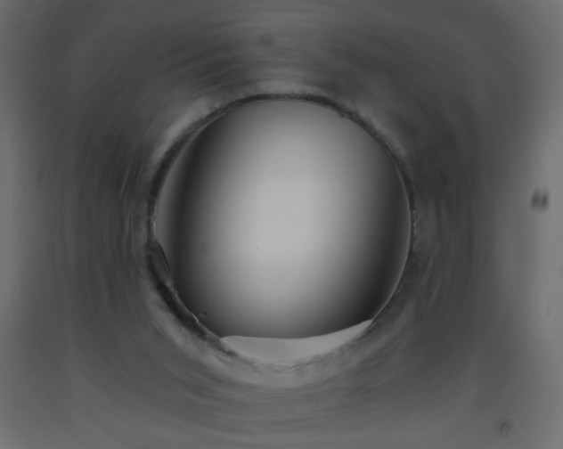 X0000093560015200710151116