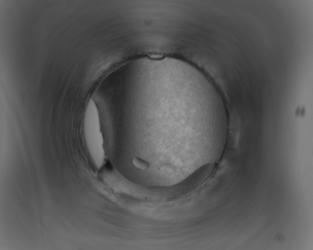 X0000093560017200710151116