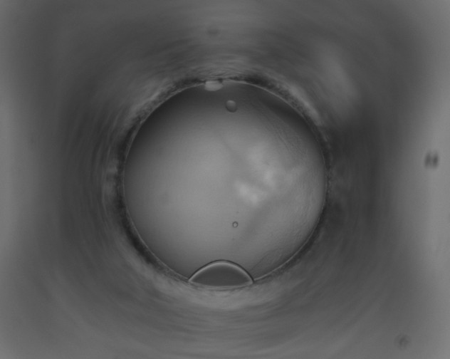 X0000093560018200710151116
