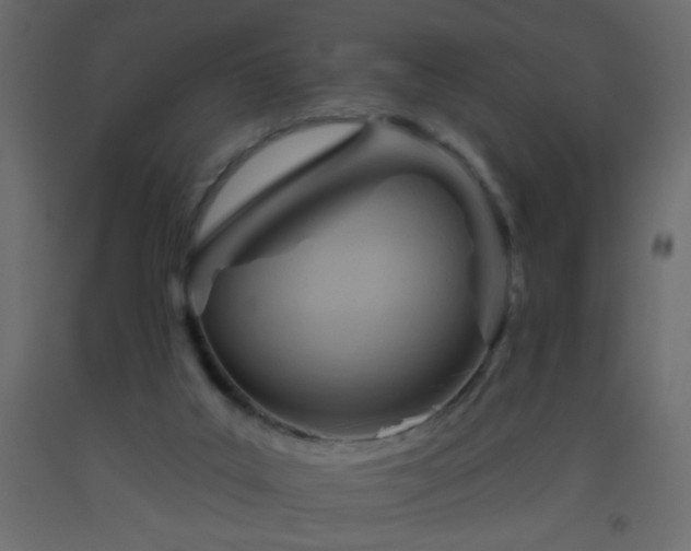 X0000093560019200710151116