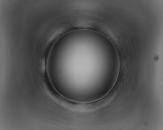 X0000093560020200710151116