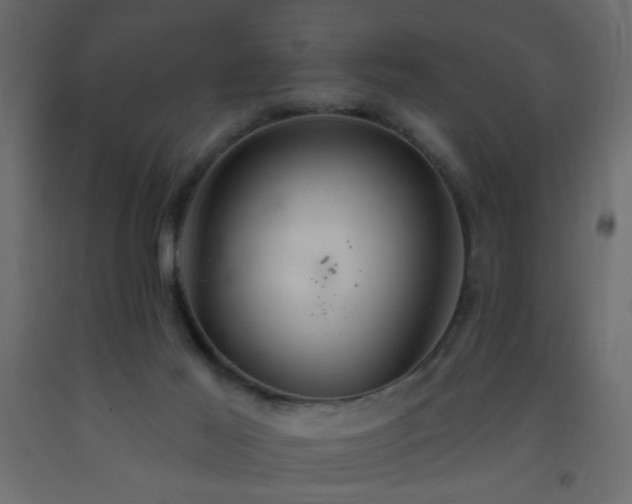 X0000093560021200710151116