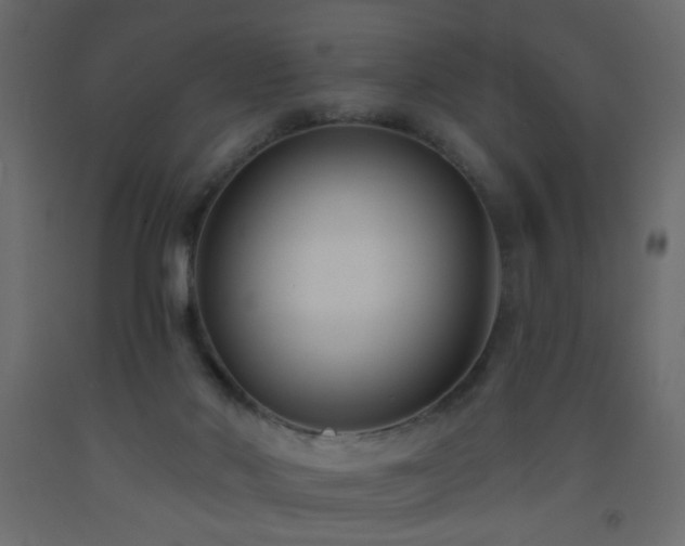 X0000093560022200710151116
