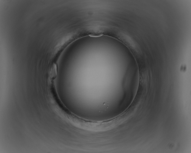 X0000093560023200710151116