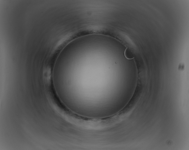 X0000093560024200710151116