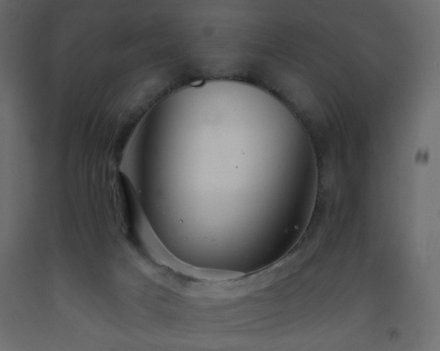 X0000093560025200710151116