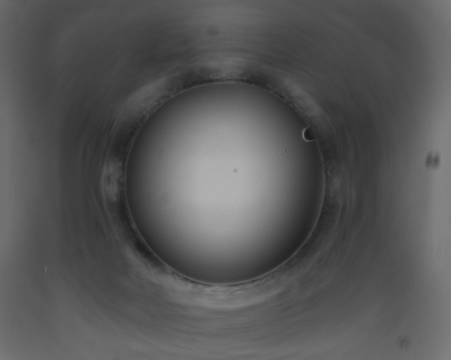 X0000093560026200710151116